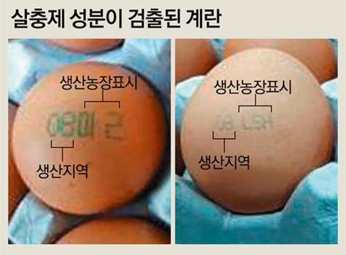 동아축산유통 이미지