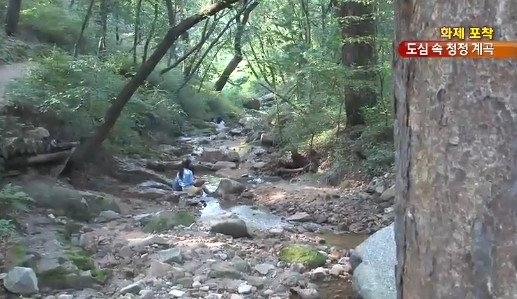 감탄동천 이미지