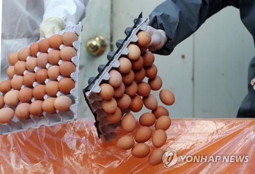 유성종합유통 이미지