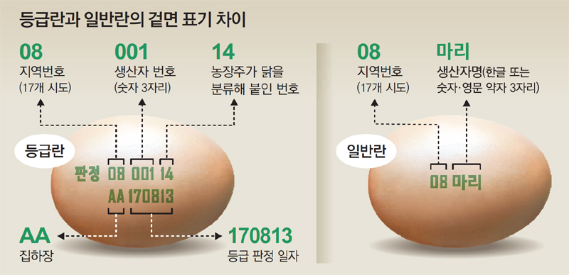 우리계란 이미지
