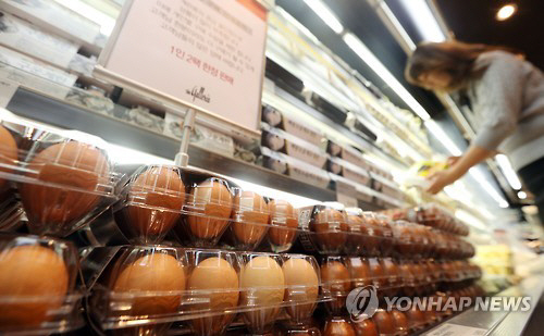 대한계란유통 이미지