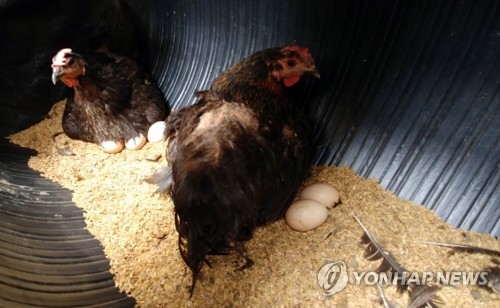 행정말농장 이미지