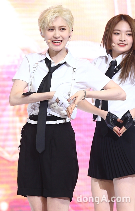 다이아 이미지