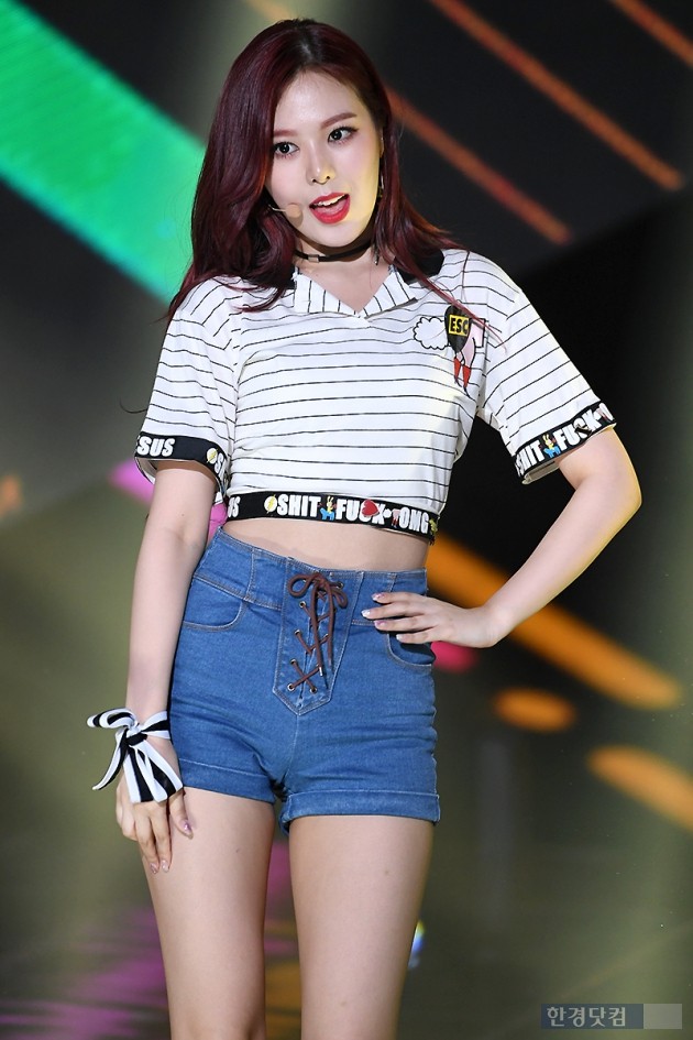 하이디 이미지