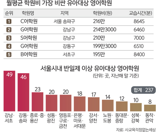 세미씨 이미지