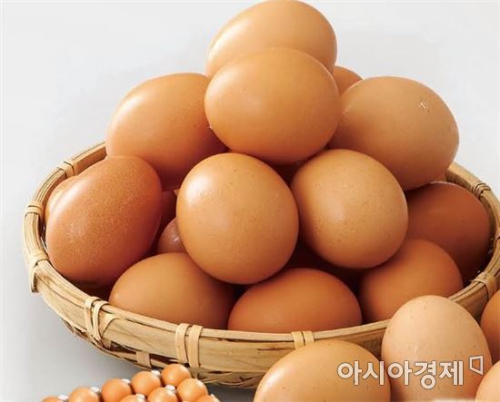 파동마트 이미지