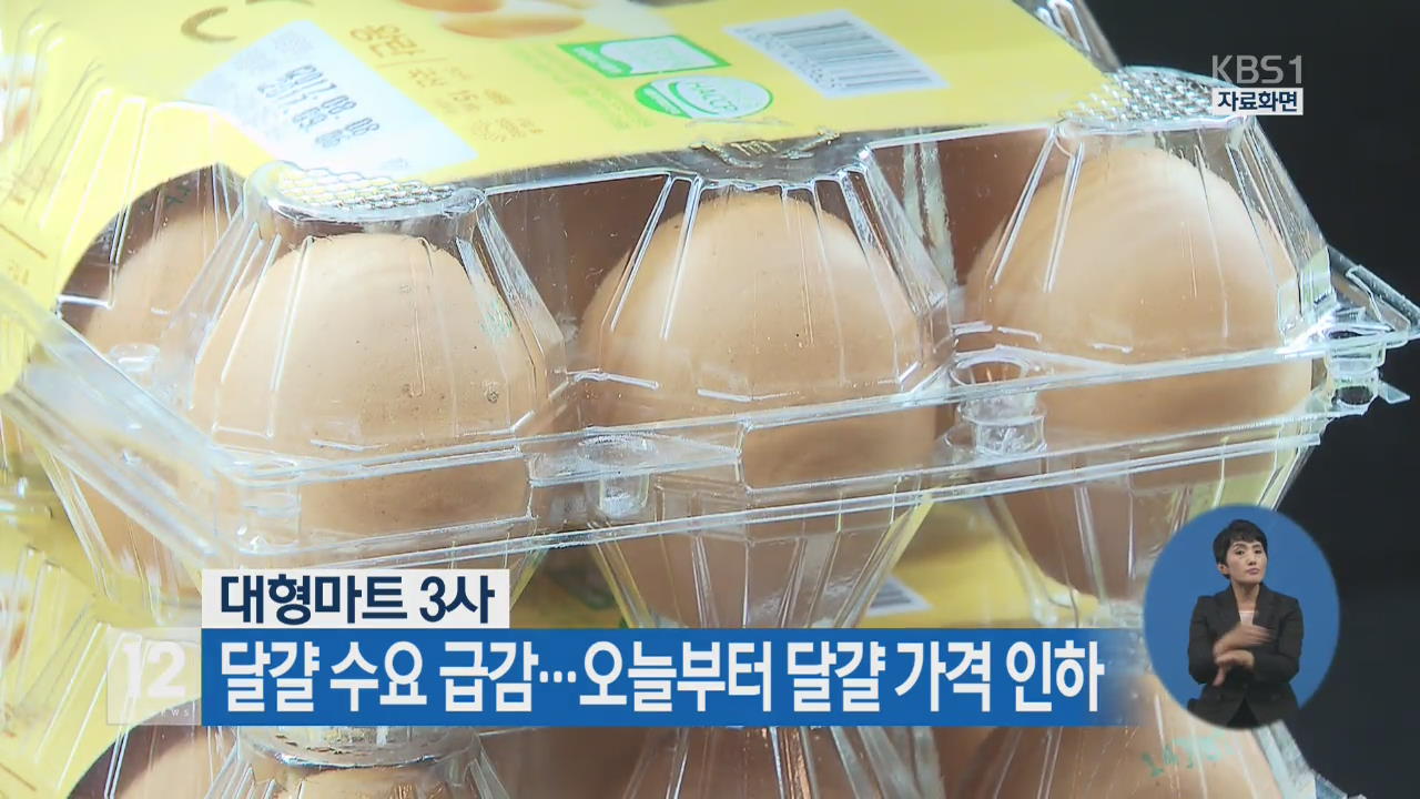 파동마트 이미지