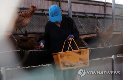 도계유통 이미지
