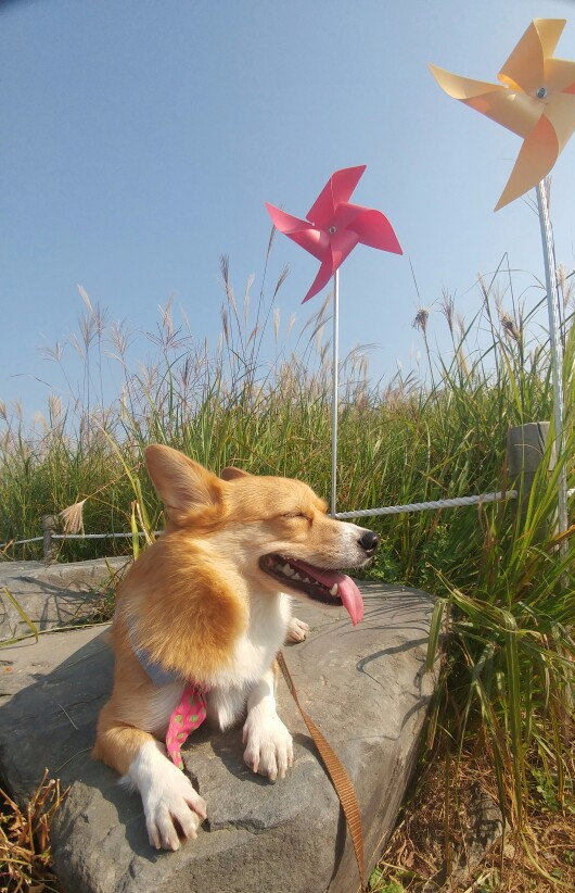 놀자 이미지