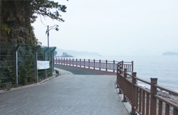 연화레포츠 이미지
