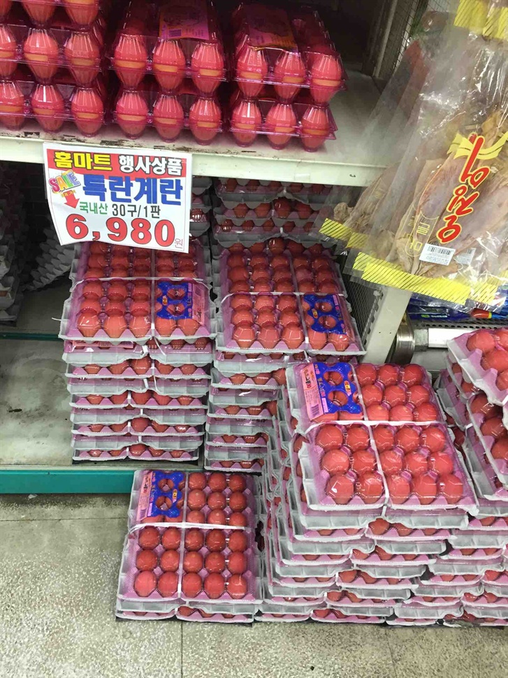 파동마트 이미지