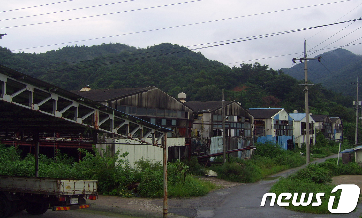 다시 가본 화순 양계단지..농장창고엔 계란만 수북이 - 뉴스1