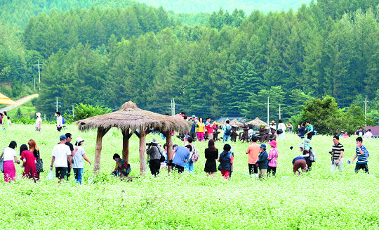 닭갈비한마당 이미지