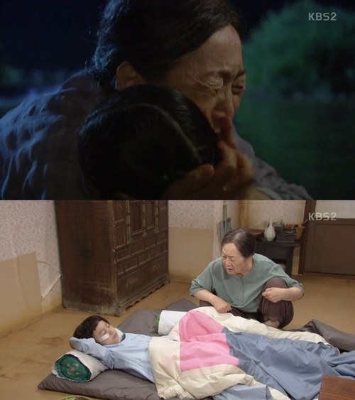 꽃피어라 이미지