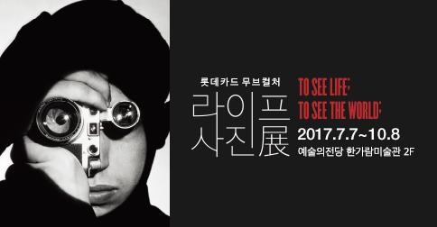 앨리스포레 이미지
