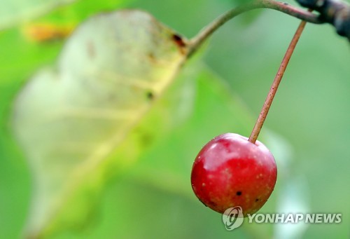 하루byH 이미지