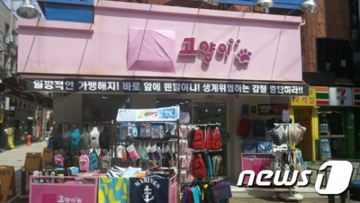 못된고양이 이미지