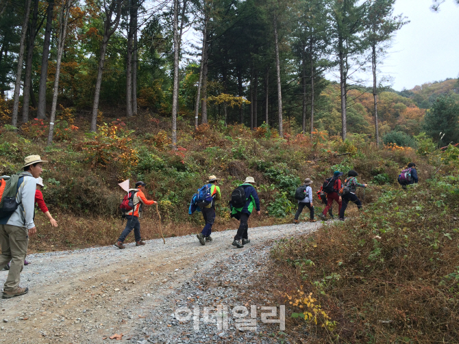 사단법인 문화커뮤니티 금토 이미지