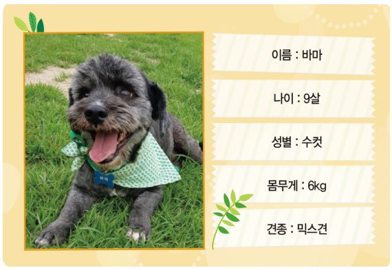 (주)바마 이미지