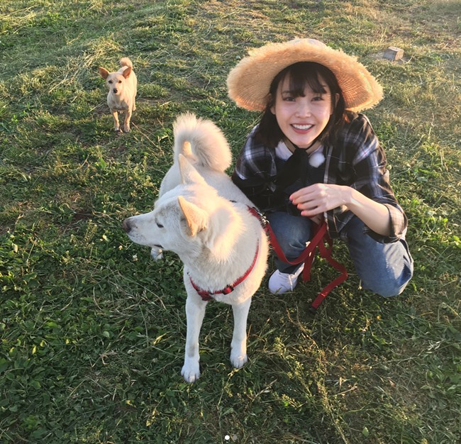 진솔민박 이미지