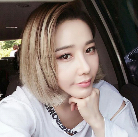 고와 이미지