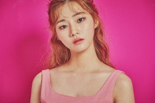 엔에스씨 이미지