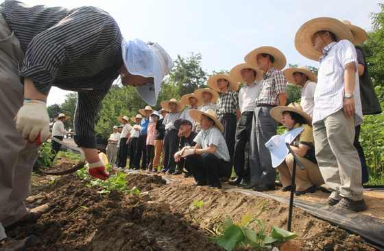 서울시 '서울시농업기술센터'에서 귀농을 꿈꾸는 이들에게 무료로 제공하는 '귀농영농창업교육'. 한 교육생이 고구마 순을 심어보고 있다. [중앙포토]