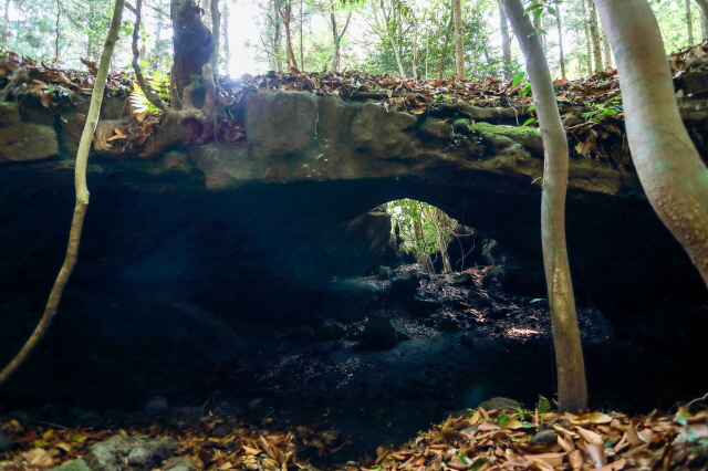 용암이 흘러간 자리가 만든 다리. /사진=한국관광공사