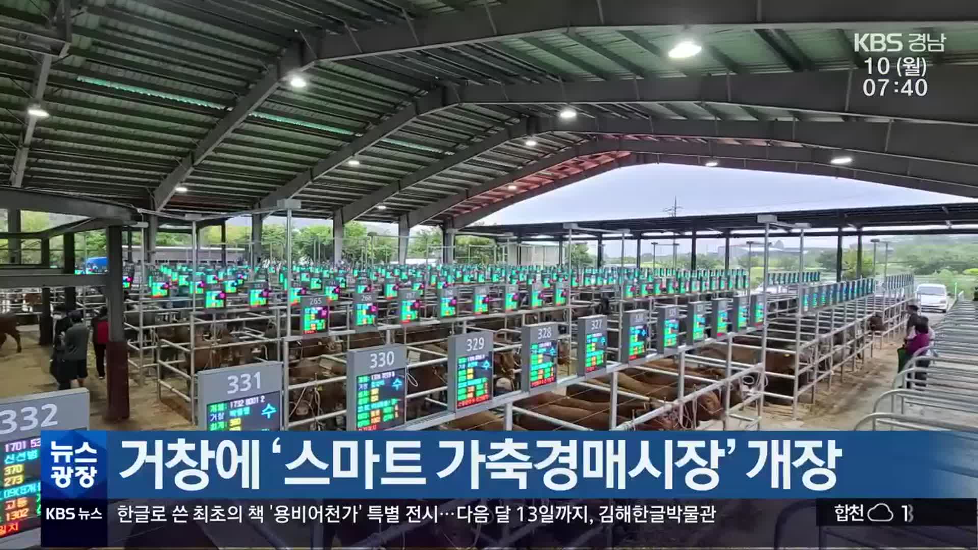 거창에 스마트 가축경매시장 개장 - kakaoTV 거창에 스마트 가축경매시장 개장