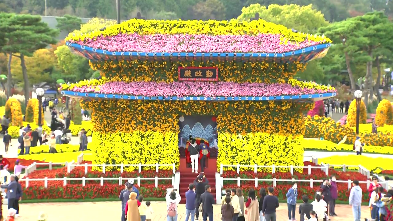 [날씨] 함평 국화 축제 한창..내일부터 기온 뚝 - kakaoTV [날씨] 함평 국화 축제 한창..내일부터 기온 뚝