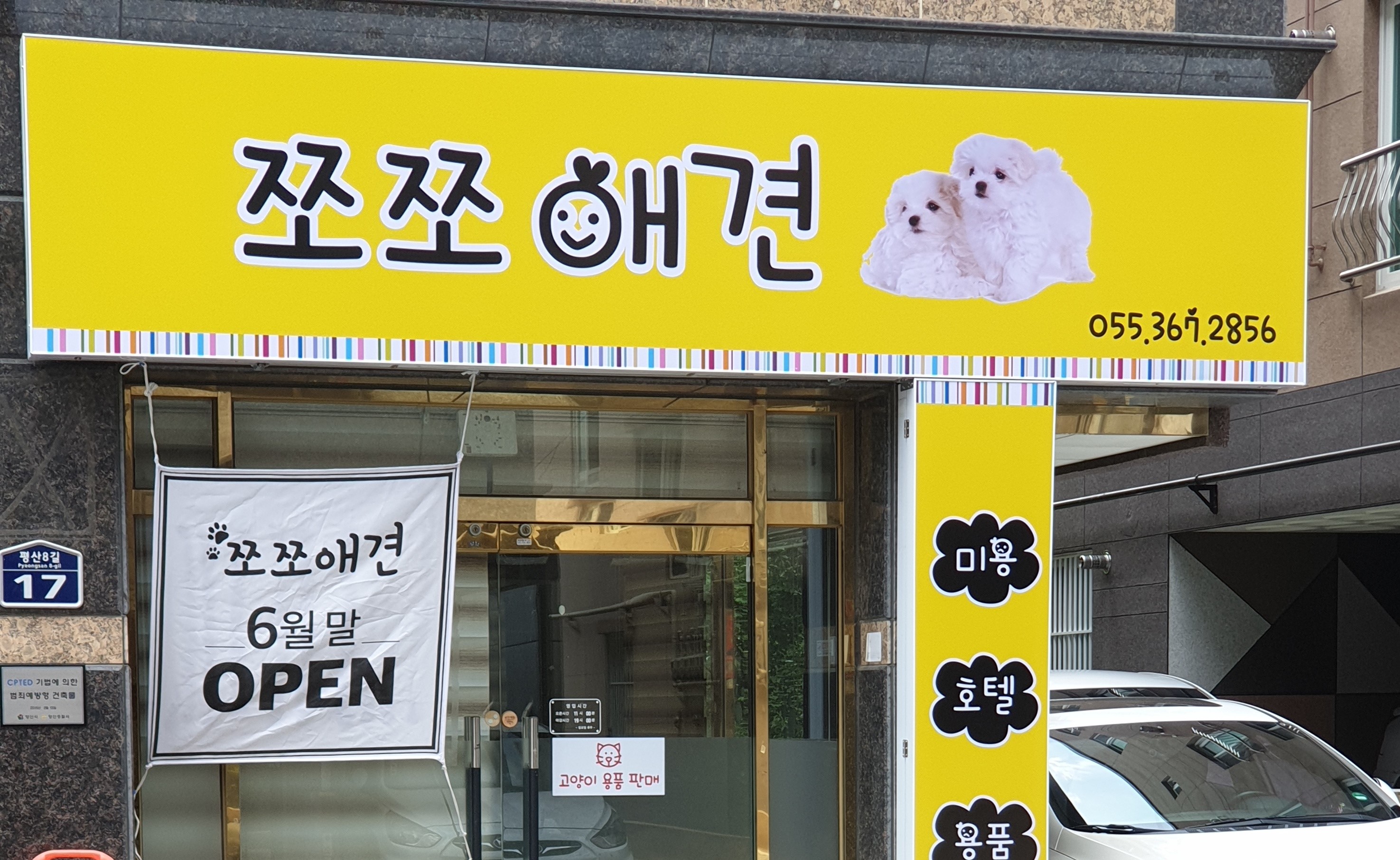쪼쪼애견