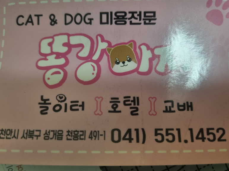 똥강아지