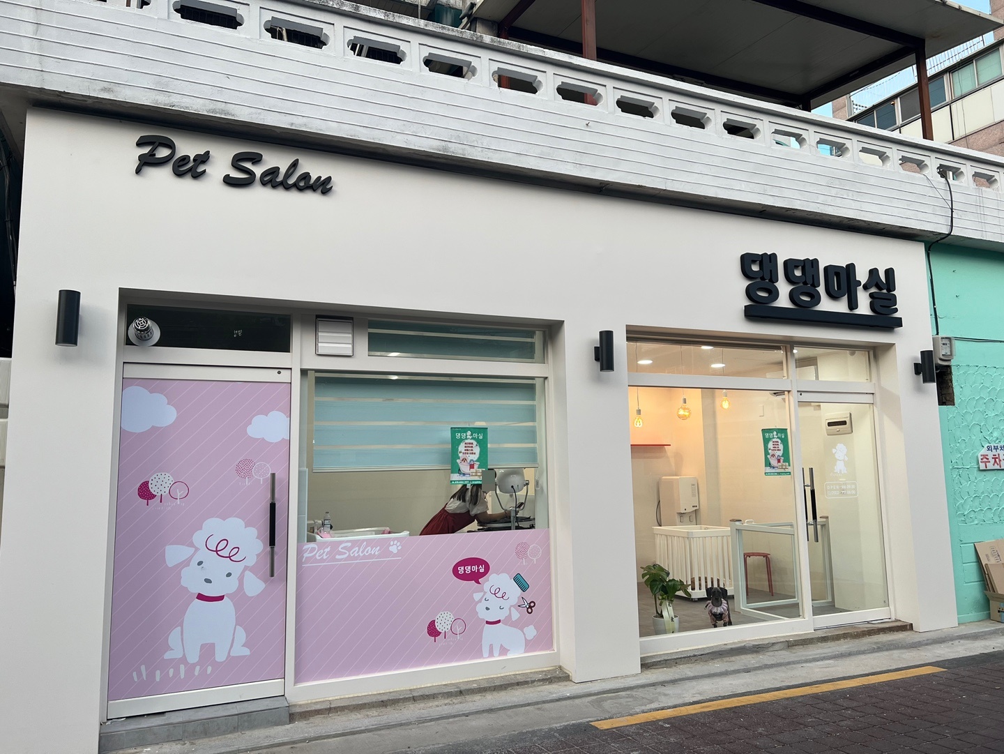 댕댕마실
