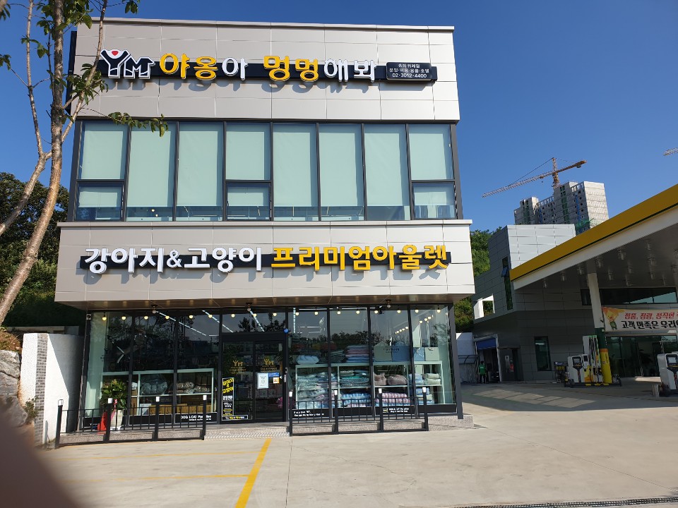 야옹아멍멍해봐 송파위례점