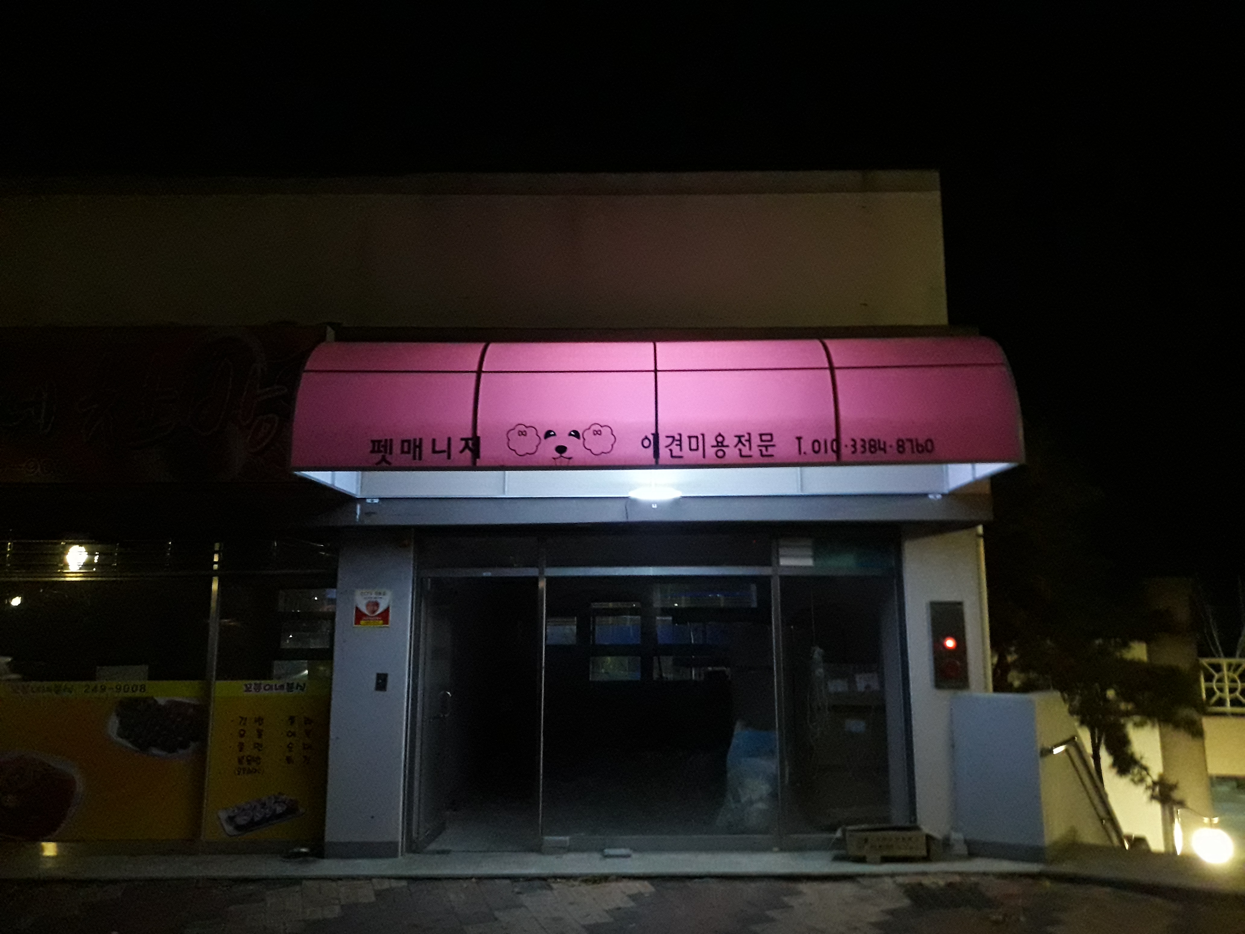 분홍강아지