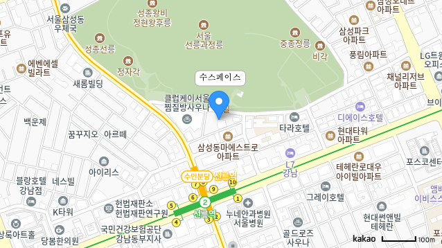 Kakao Map