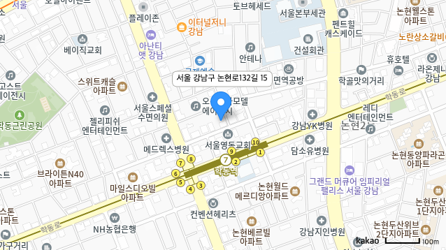 카카오맵