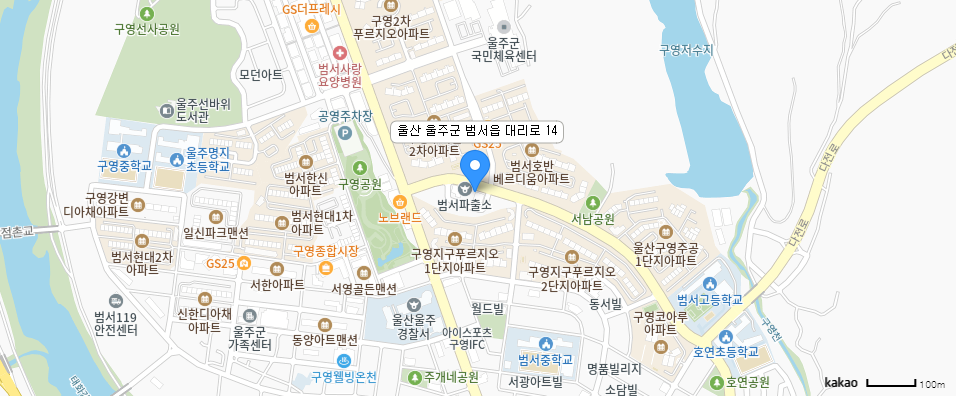 카카오맵