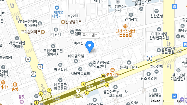 카카오맵