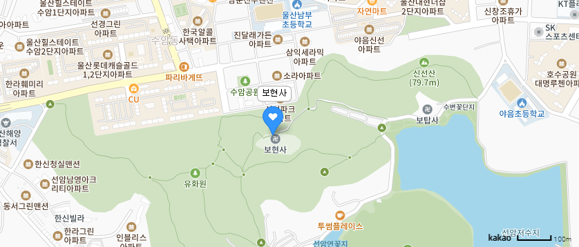 [숨겨진 벚꽃 명소] 거대한 벚나무에 만개한 벚꽃 - 보현사