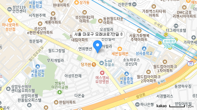카카오 지도 미리보기