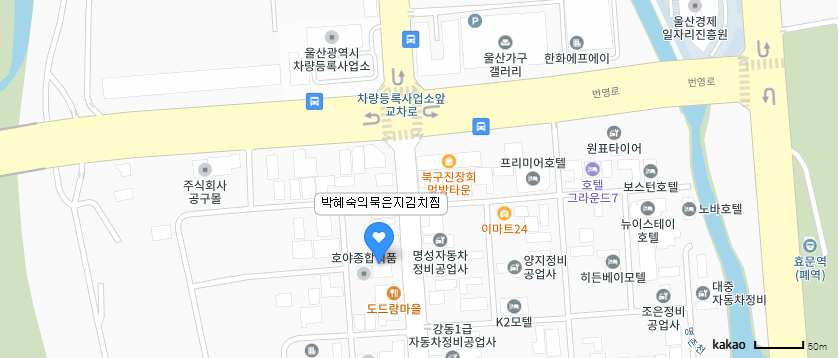 잘 익은 묵은지 돼지고기 김치찜