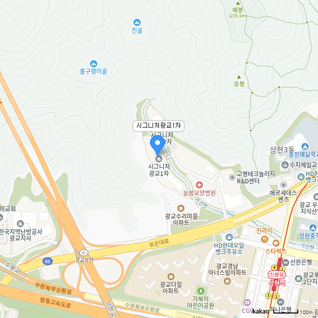 카카오맵 정적 지도