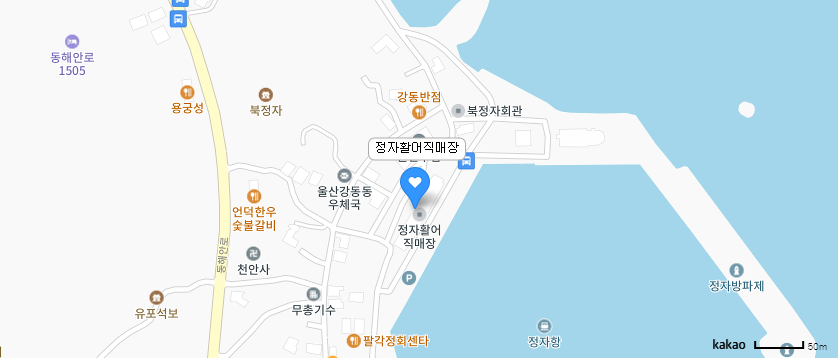 울산 정자 회센터(새 단장 정보)