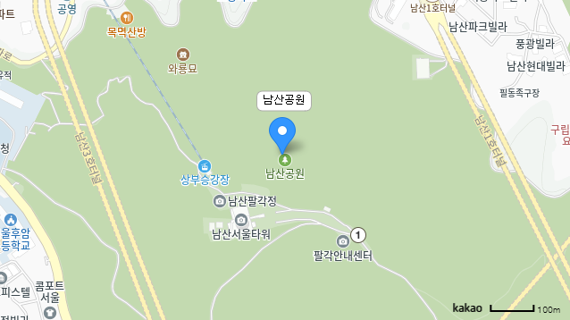 카카오맵 이미지지도 남산