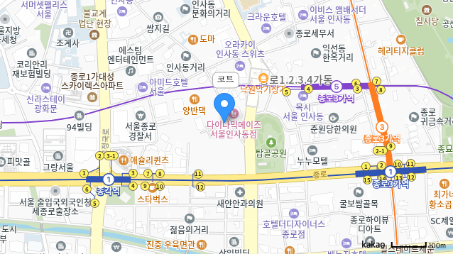 Kakao Map