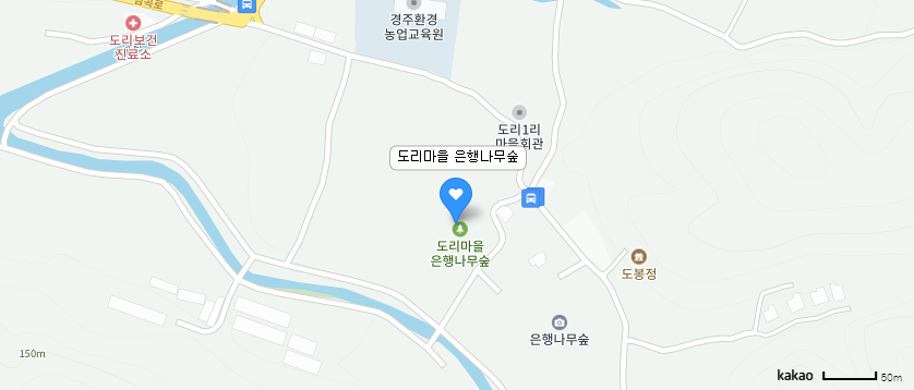 [가을여행]단풍명소 경주 도리마을 은행나무숲