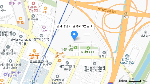 경기도 광명시 일직로99번길 30 카카오맵
