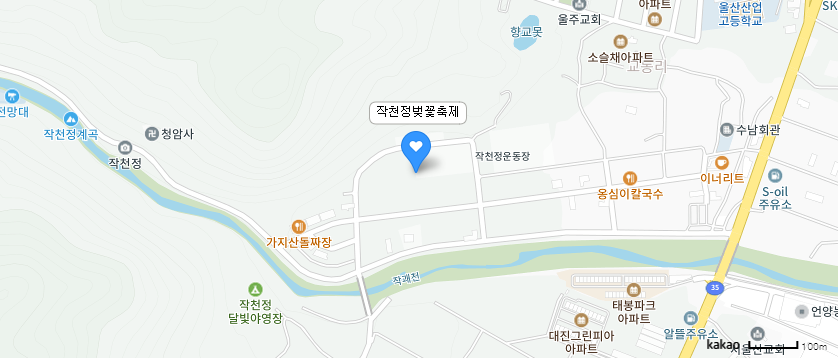 [울산 언양]영남 최대 규모의 꽃길~ 작천정벚꽃 터널을 만나보세요.