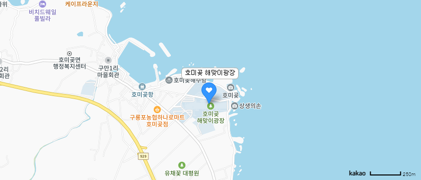 [차박 캠핑] 2020년 구룡포 과메기와 첫 차박, 포항 호미곶마을에서 해맞이까지!!